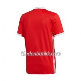 Benfica Lisabon Hjemme Fotballdrakt 2019-2020 Kortermet